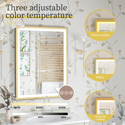 LED Mirror Bathroom Wall Mirrors w/ Lights Gold Frame Dimmable 3 Colors Anti-fog