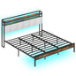 Queen Size Bed Frame w/LED Light & Charging Station Heavy Duty Metal Platform